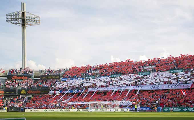 grada-los-carmenes-rojiblanco