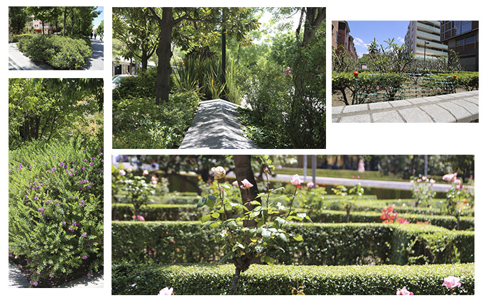 jardines college parques y jardines