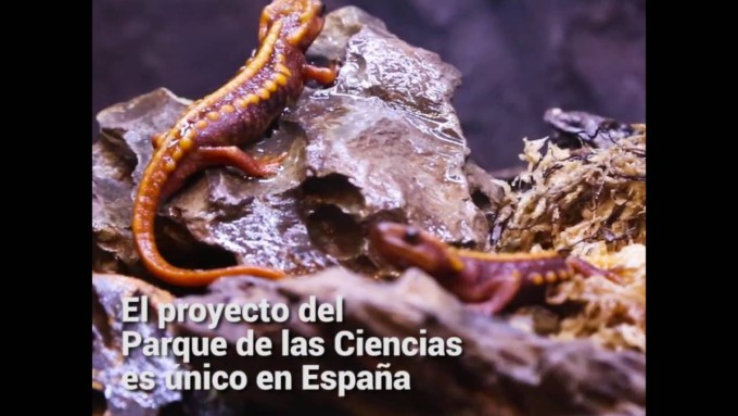 Granada-se-llena-de-vida-y-naturaleza-con-el-Biodomo-del-Parque-de-las-Ciencias