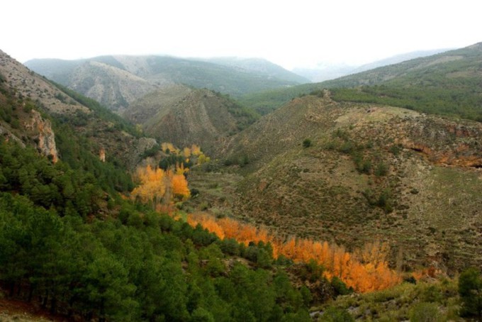 parque natural de baza