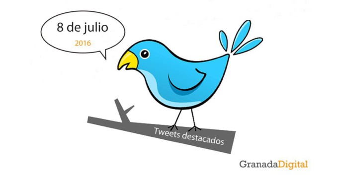 twitter-8julio