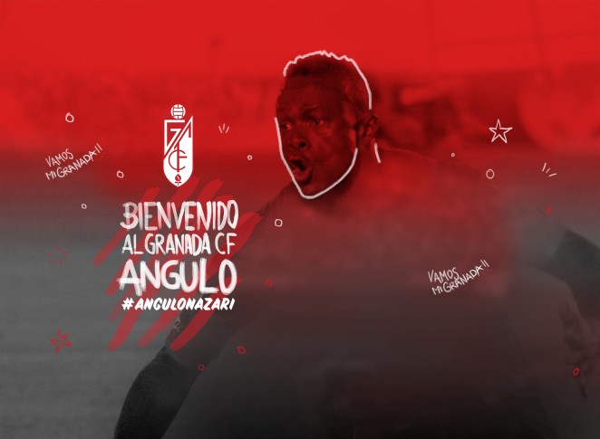 bienvenido-angulo