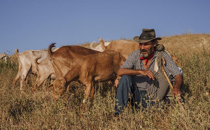 Nueva serie en HBO: el cabrero violador