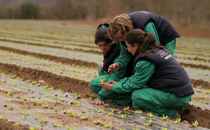 caixa-accion-social-rural