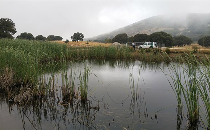 laguna-zafarraya