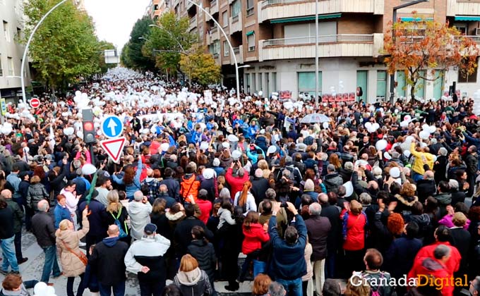 manifestacion por dos hospitales completos