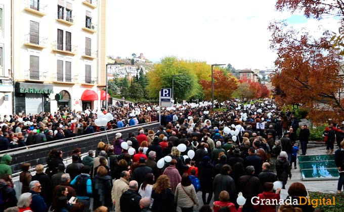 manifestacion por dos hospitales completos