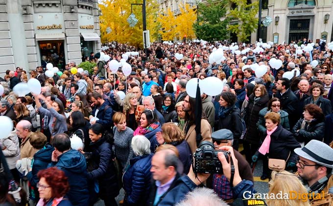 manifestacion por dos hospitales completos