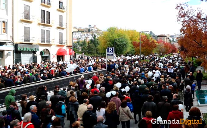 manifestacion por dos hospitales completos