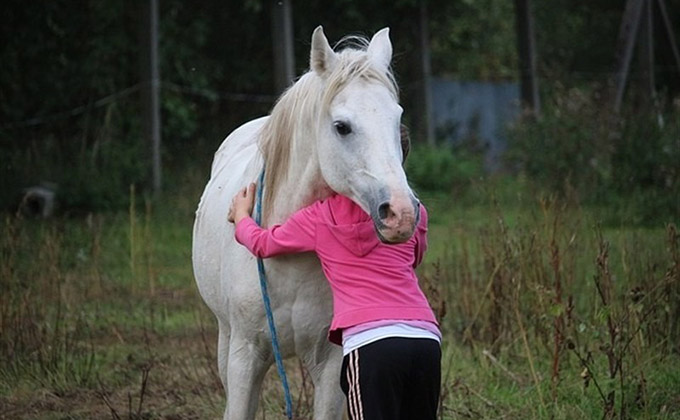 caballo-terapia-equinoterapia