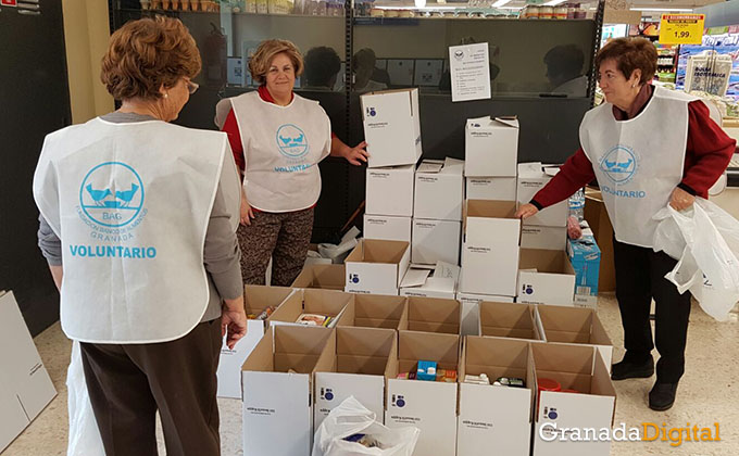 recogida-alimentos-granada