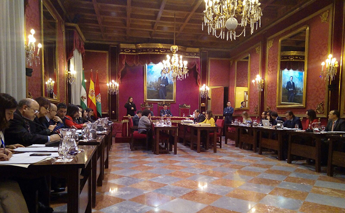 Pleno ayuntamiento granada 240217