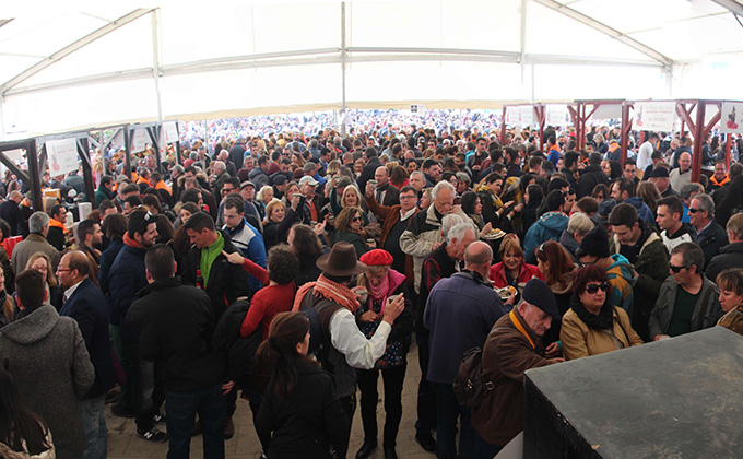 fiesta-vino-alhama