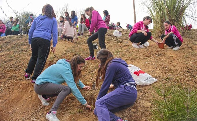 planta-arboles.huetor-tajar