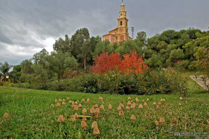 Parque de los Pueblos de America