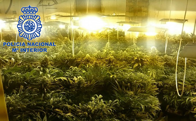 droga-marihuana-policia-nacional-granada