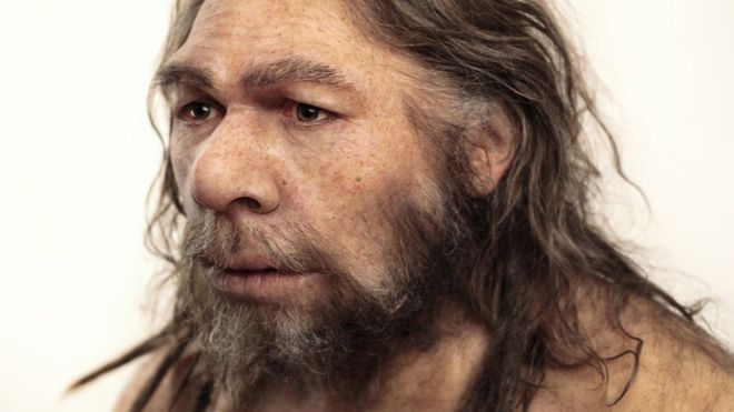 neanderthals