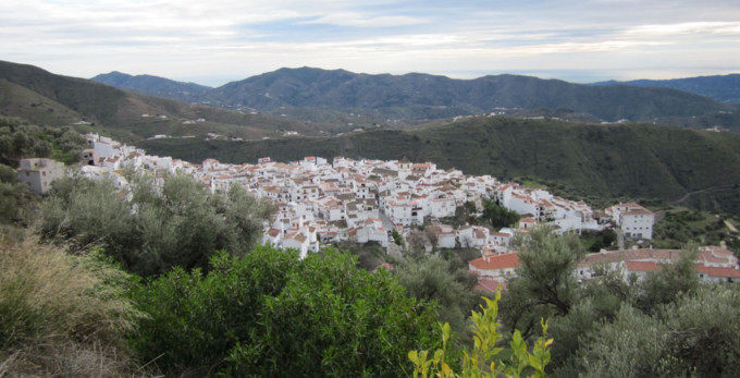 canillas-aceituno