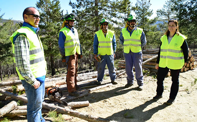 sierra-de-baza-incendios-prevencion