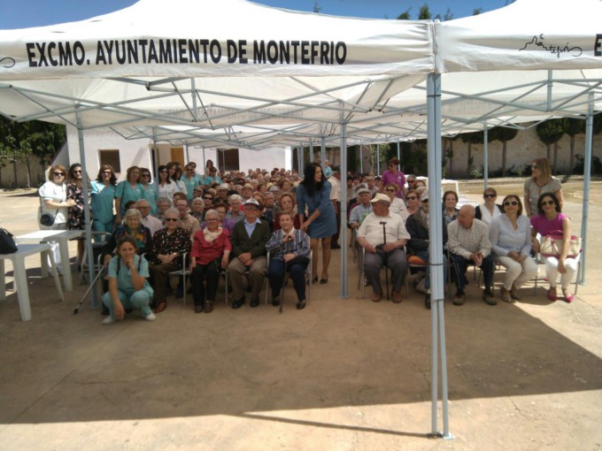 Convivencia ayuda a domicilio 3