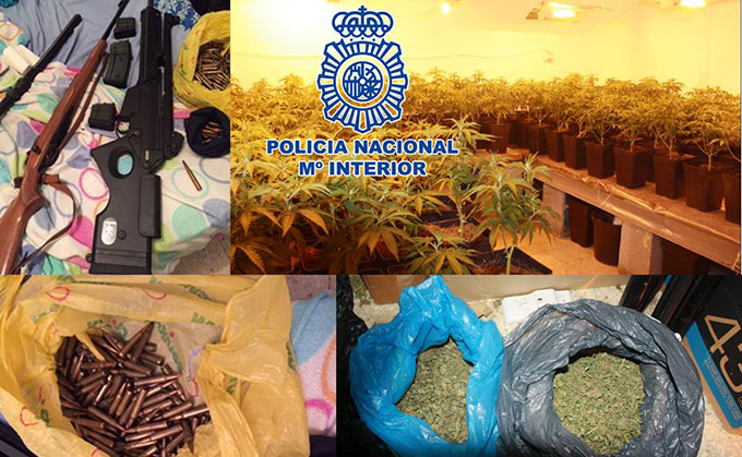 policia nacional marihuana, armas de fuego, plantación