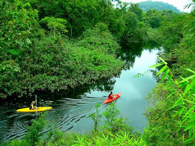 kayak