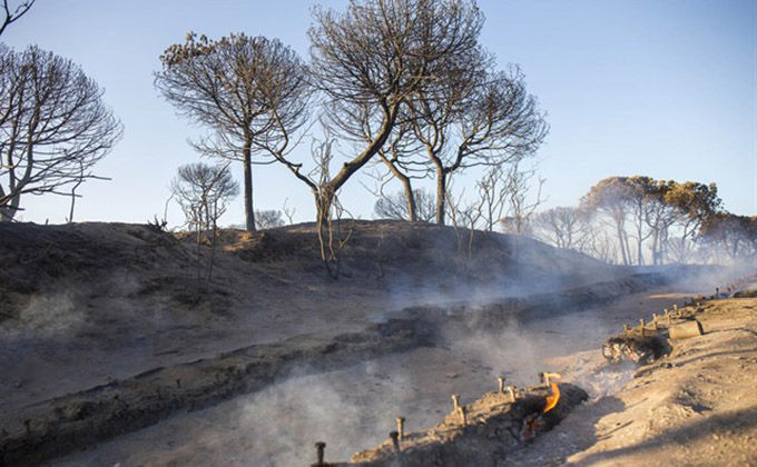 incendio-moguer