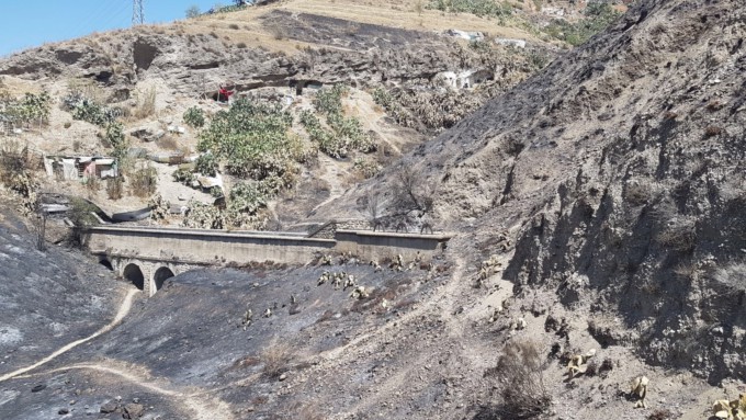 incendio-paraje-alhambra