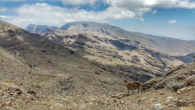 Pico del Veleta y Refugio de la Carihuela