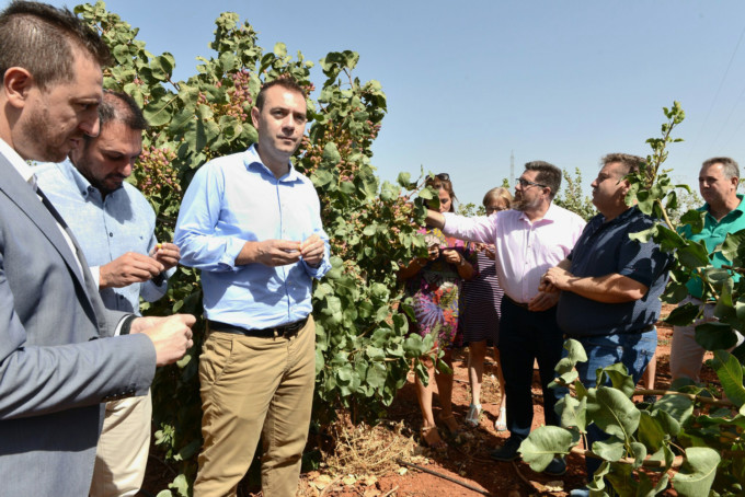 medio rural agricultura 170821 Zuaime 3