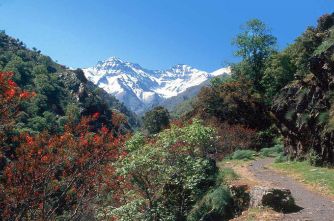 7 senderos en los que 'perderse' por Sierra Nevada