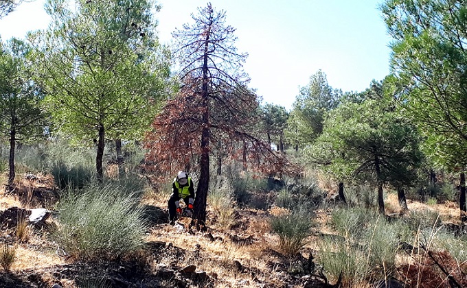 Parque Natural Sierra de Baza