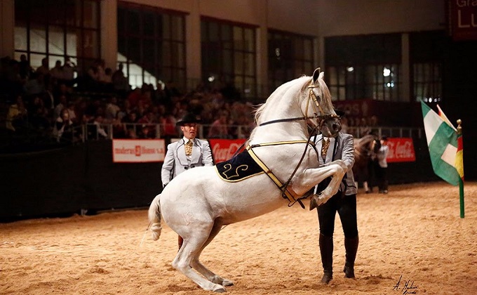 CONCAB feria del caballo