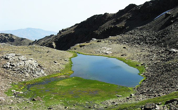 laguna de aguas verdes