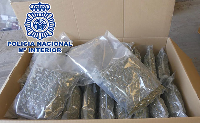 marihuana policia nacionaldroga