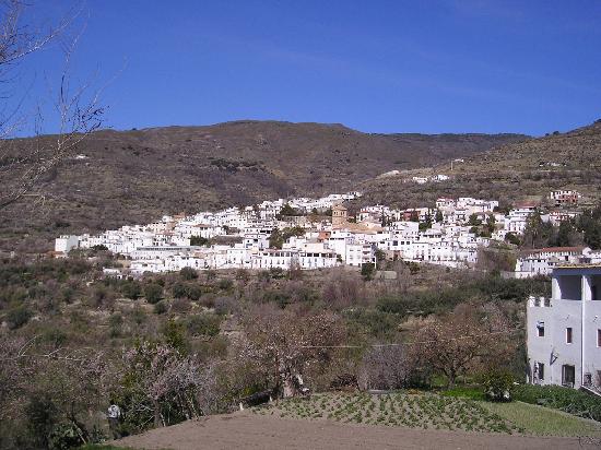 Controlado el incendio forestal de Válor