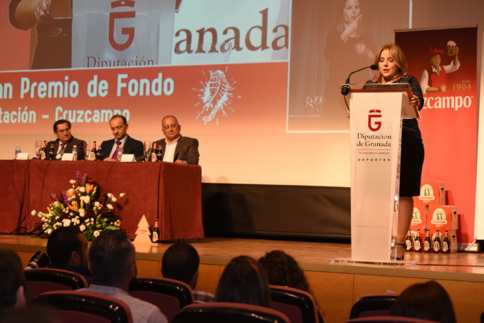 diputacion-clausura-fonfo