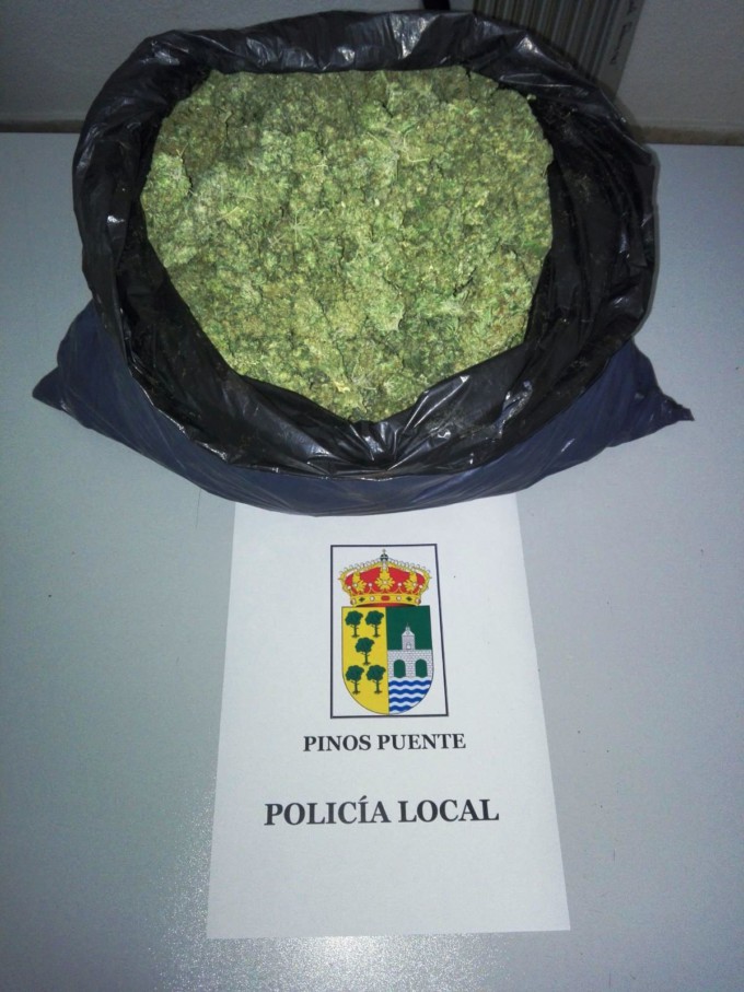 KILOGRAMO DE MARIHUANA PINOS PUENTE