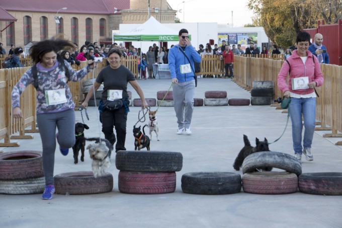 mascotada-fermasa-bionatura