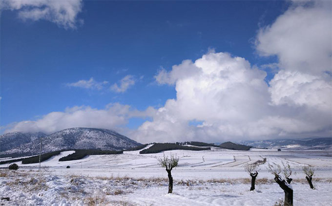 puebla don fabroique nevada