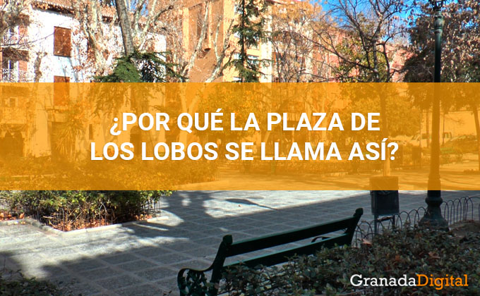 portada-plaza de los lobos