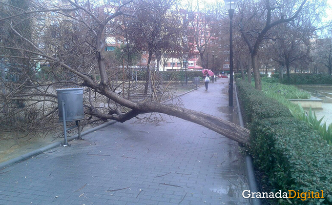 granada-viento