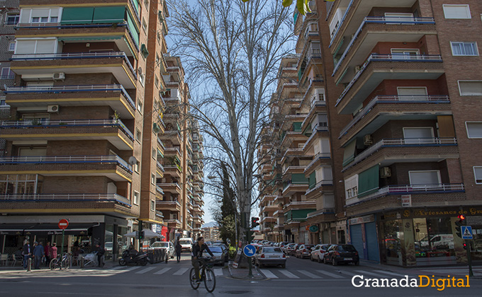 chana carretera malaga las torres 2