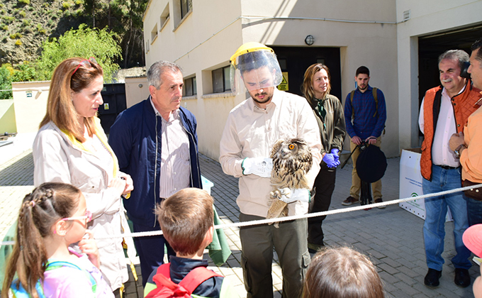 animales crea pinos genil