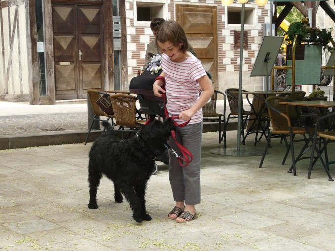 niña jugando perro