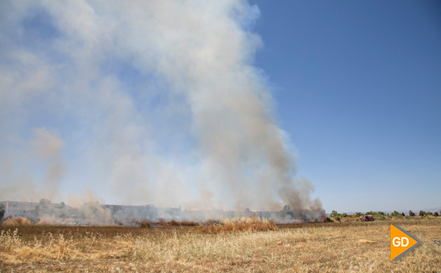 Incendio Pulianas (5)