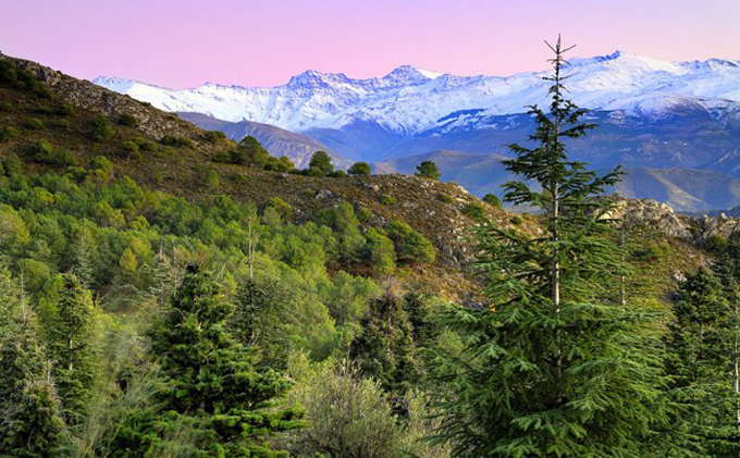 parque natural sierra de huetor