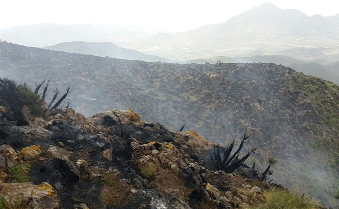 extincion de un incendio en nijar