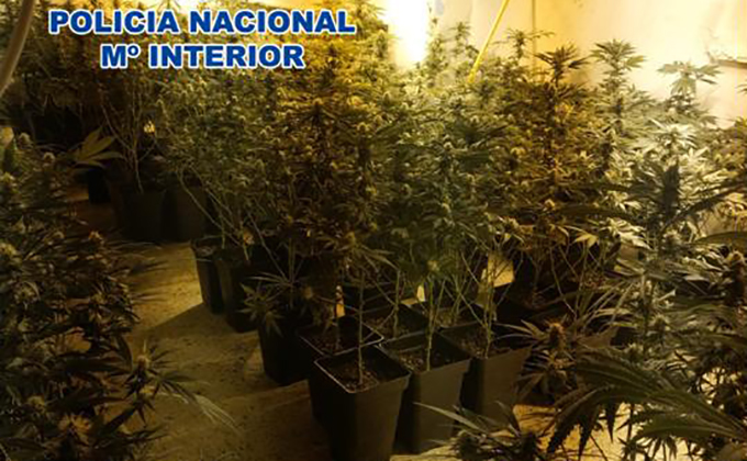 foto marihuana piso de Granda