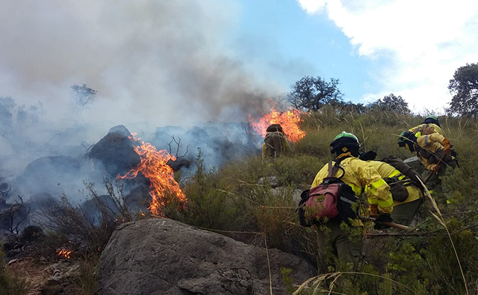 incendio colomera plan infoca